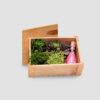 Plantas para Celebrar