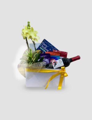 Ancheta Navidad Orquídeas